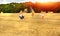 Banner with mom and daughter caucasians together on a mown wheat field throw hay where there are huge sheaves. Family fun and fun