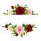 Banner with pink, burgundy and white roses flowers. Vector illustration.