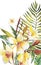 Banner, poster with plumeria flowers, jungle leaf. Beautiful floral tropical summer background.