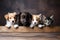 Banner of puppies and kittens in row, hanging its paws at wooden banner