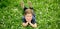 Banner with spring child face. Spring boy. Happy childhood. Smiling kid lying on grass. Dreaming concept. Kids on green