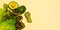 Banner. Still life of fresh, green vegetables. Avocado cut, lettuce leaves. Centimeter. On yellow background. Located on the left