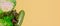 Banner. Still life of fresh, green vegetables. Zucchini, young cabbage, lettuce leaves. On yellow background. Located on the left