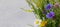 banner with summer field bouquet. chamomile, cornflowers, grass and cereals on a light background with copy space.