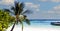 The banner of summer and Palm tree as the white sand Beach -  Happy Tropical with a Vacation Holiday concept