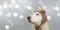 Banner sweet pet dog celebrating christmas with reindeer antlers hat.  on gray background