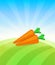 Banner template with Carrot - Vegetables trade poster.