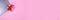 Banner with top view on laptop computer, present box with red bow on pastel pink background with copyspace for your text. Seasonal