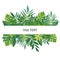Banner with tropical leaves. The design for the background template, advertising materials, labels, packaging.