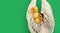 banner two small yellow and variegated duckling in white mesh string bag on green background, selective focus