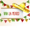 Banner viva la Mexico - sombrero and triangle bunting flag