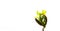 The banner of a young sprout is isolated on a white background with space for text. The concept of ecology and