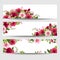 Banners with red and pink roses and freesia flowers. Vector illustration.