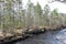 Banning State Park, Sandstone, Minnesota 4-17-2021 - Kettle River flowing through tree lined valley