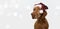 Bannner pointer dog puppy celebrating holidays with a red santa claus hat looking side. Isolated on gray background and defocused