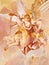 Banska Stiavnica - The detail of fresco on cupola in the middle church of baroque calvary . Angel with the music instruments.