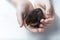 Bantam Chick in Hands