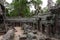 Banteay Kedi Temple in Angkor