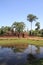 Banteay Srei in Angkor