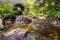 Banvie Burn in the Scottish Highlands