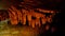 Banyan Tree formations in Belum Caves, Kolimigundla, Andhra Pradesh, India.