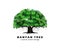 Banyan tree vector illustration isolated. ancient plant.