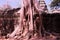 Banyan trees on ruins in Ta Prohm temple. Cambodia. Large aerial ficus roots on ancient stone wall. Abandoned ancient buildings.