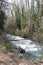 Banyas River Nature Reserve, Israel