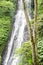 Banyumala waterfall at Buleleng regency of Bali - Indonesia