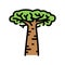 baobab africa tree color icon vector illustration