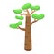 Baobab african tree icon isometric vector. Madagascar plant