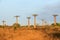 Baobab landscape Madagascar