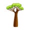 Baobab tree, African continent symbol. Powerful plant with green foliage cartoon vector illustration