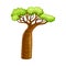 Baobab tree, African landscape design element. Powerful plant with green foliage cartoon vector illustration
