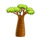 Baobab tree, African powerful plant cartoon vector illustration