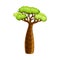 Baobab tree with green leaves, African powerful plant cartoon vector illustration