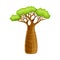 Baobab tree, powerful plant with green foliage cartoon vector illustration