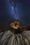 Baobab tree under the milkyway