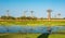 Baobab trees with lake near Morondava