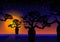 Baobab trees At night. Beautiful sunset night sky with stars over Boab tree silhouette. Multi color tropical woodland tree vector