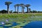 Baobabs forest, Baobab alley , Madagascar