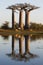 Baobabs at sunrise near the water with reflection. Madagascar.