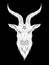 Baphomet demon goat head hand drawn print or blackwork flash tattoo art design vector illustration