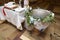 The baptismal font and the priest table