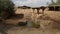 Baptismal Site, where Jesus was baptised by John the Baptist