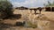 Baptismal Site, where Jesus was baptised by John the Baptist