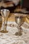 Bar mitzvah drinking silver goblet