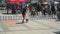 Bar, Montenegro - April 22, 2017: Dog show, the Adriatic Cup