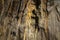 Baradla Cave limestone stalactices
