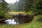 Baranof Island Wetland  845432